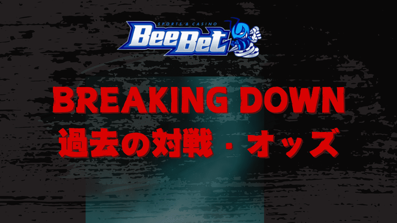 BeeBet BREAKINGDOWN12　過去の対戦カード・オッズ